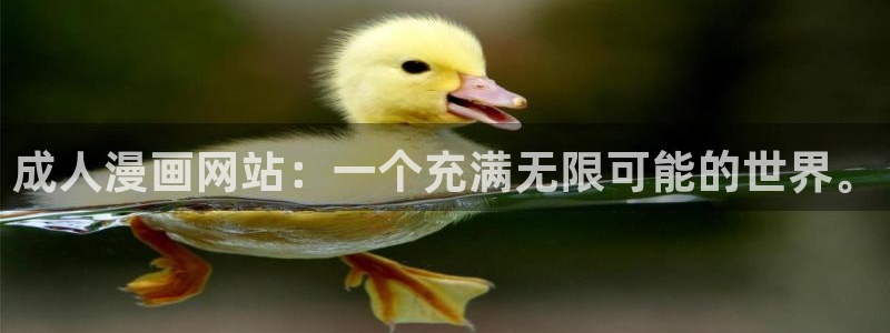 漫蛙网页网址